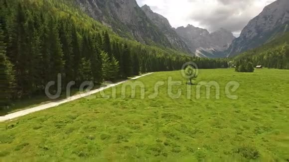 高空飞行斯洛文尼亚拉多夫纳美丽的青山山谷景观视频的预览图
