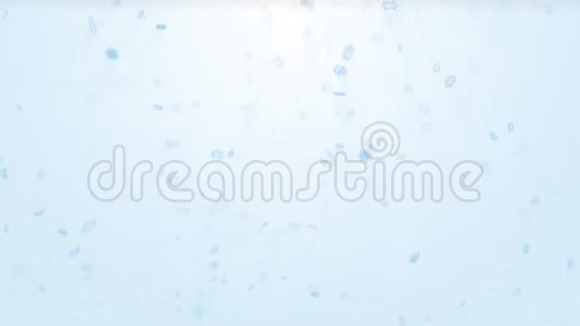 三维雪花在浅蓝色背景下的雾中的动画循环视频的预览图