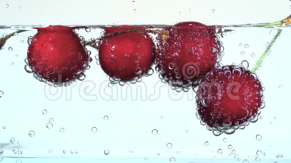 红樱桃在气泡中漂浮在清澈的水中视频的预览图