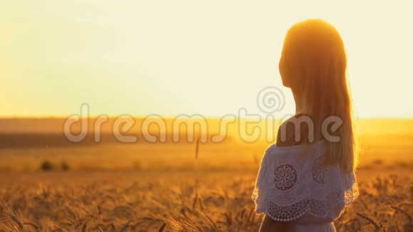穿着白色裙子的浪漫女孩在阳光下金色的麦田里散步视频的预览图