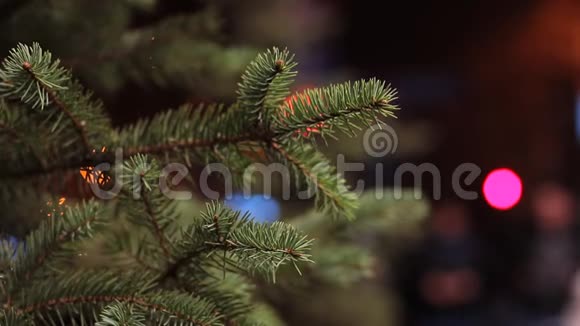 圣诞枞树的枝干在背景上的黄昏视频的预览图