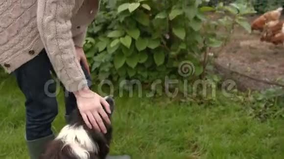 花园里的一对年轻夫妇带着狗和母鸡视频的预览图