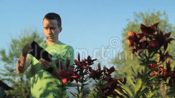 一个年轻人一大早就在花旁的平板上玩视频的预览图