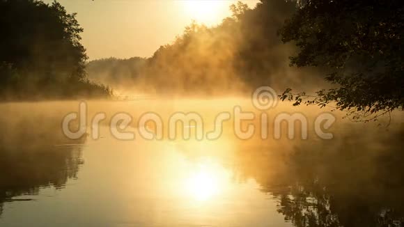 晨雾在平静的河流萼片色调视频的预览图