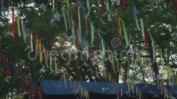 挂在树枝间的旗子视频的预览图