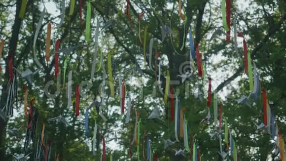 挂在树枝间的旗子视频的预览图
