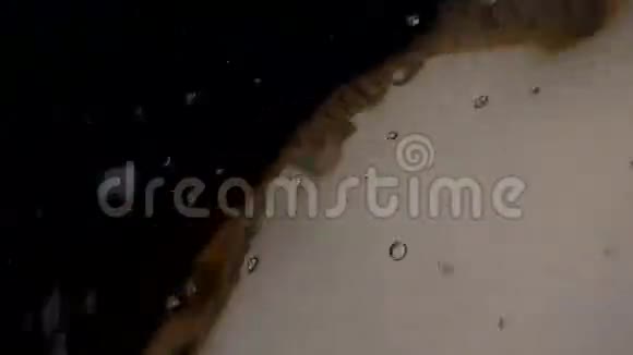 摄像机在水下的混沌运动视频的预览图