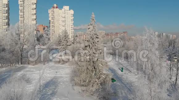 晴天雪覆盖的城市公园景观莫斯科俄罗斯视频的预览图