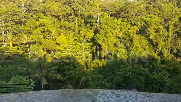 印度尼西亚巴厘岛乌布度假胜地的风景视频的预览图