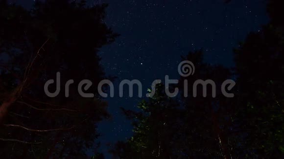 夏夜繁星满天的松树视频的预览图