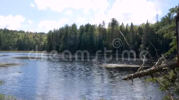 安大略省南部的和平河视频的预览图