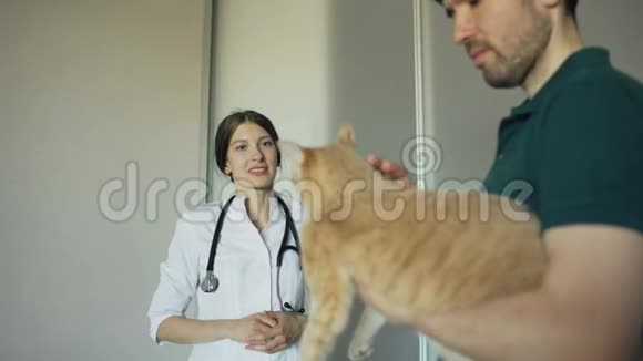 兽医办公室的猫主人和兽医女人谈话视频的预览图