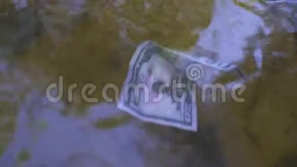 一张美元钞票沿着河漂关于意外财富主题的概念视频的预览图