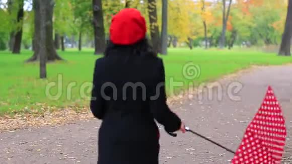 秋天公园里带着红伞的女人视频的预览图
