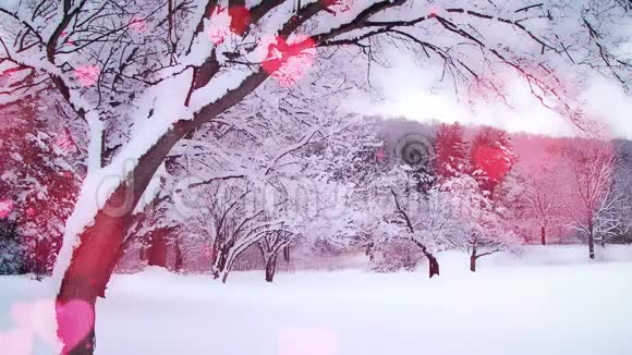 美丽的心在冬天的风景中徘徊视频的预览图