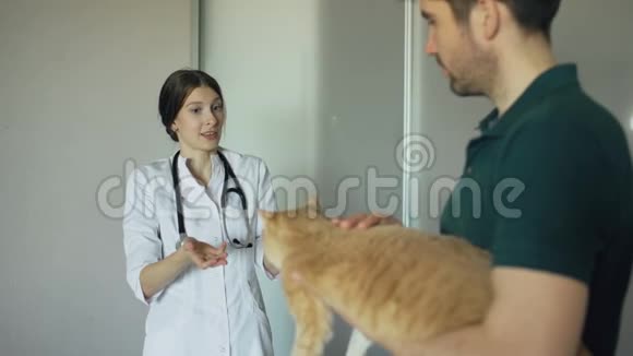 兽医办公室的猫主人和兽医女人谈话视频的预览图