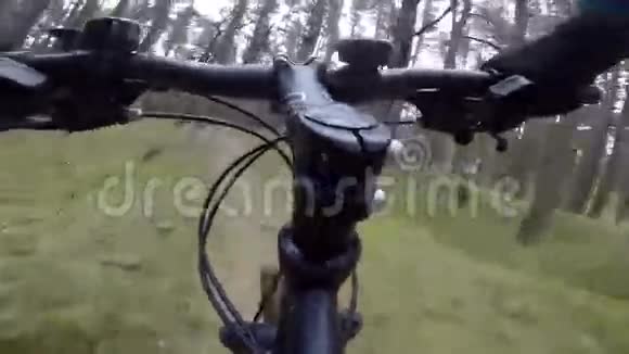 骑自行车的人骑在森林小径上视频的预览图