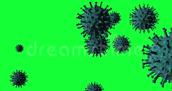 绿色屏幕上的冠状病毒概念动画视频的预览图