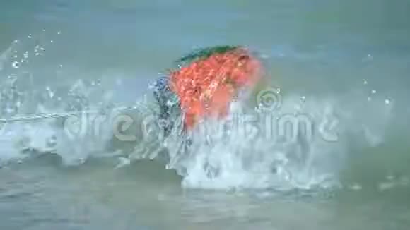 红色的浮标漂浮在海面上视频的预览图