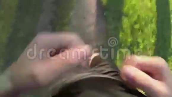顶部视图人在森林小径上奔跑视频的预览图