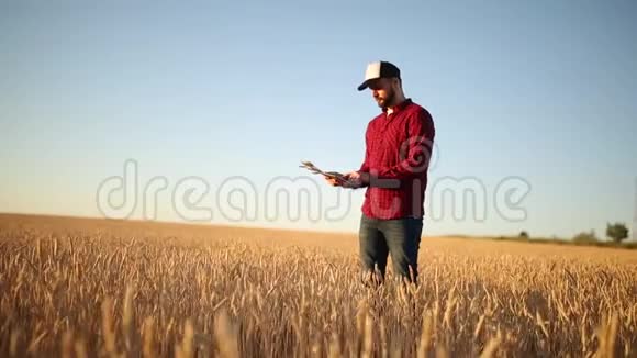 在农业中使用现代技术的智能农业农民用手触摸数字平板电脑显示器视频的预览图