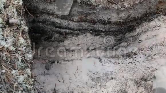 考古清扫挖掘的墙壁视频的预览图