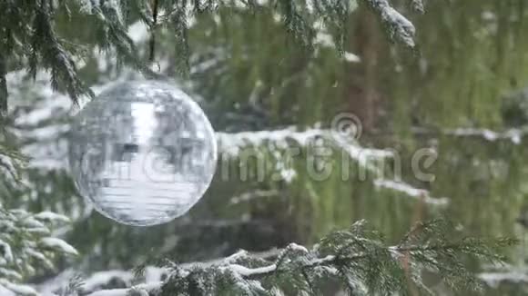 冬天森林背景上的镜球视频的预览图