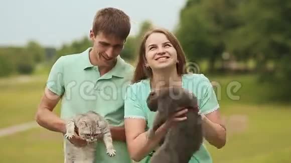 男人和女孩一起玩苏格兰褶皱猫和灰色英国猫视频的预览图