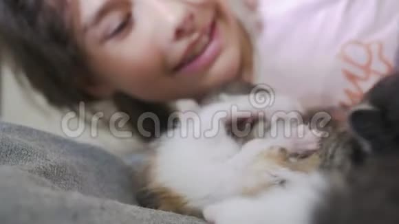 女孩和两只可爱的小猫的概念快乐的小女孩和猫在床上在家里女学生婴儿和猫对生活方式的热爱视频的预览图