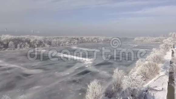 冬天森林里结冰的河水树上的雪空中的景色视频的预览图
