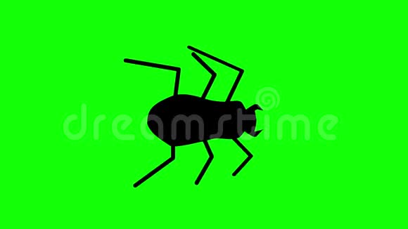 扁平风格的万圣节甲虫在绿色背景下行走无缝环路视频的预览图