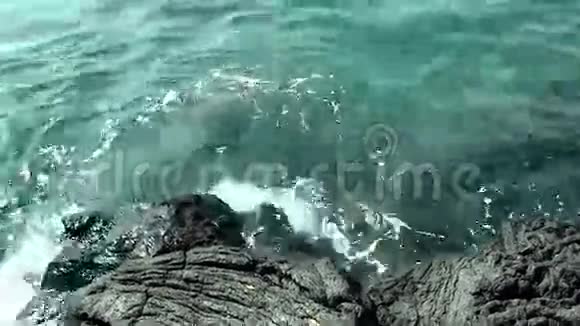 从黑色熔岩海岸向夏威夷科纳海洋倾斜视频的预览图