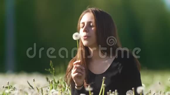 可爱的快乐女孩在蒲公英草地上吹蒲公英视频的预览图