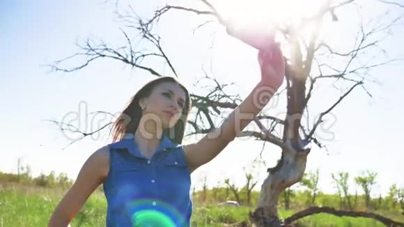 女孩和自拍美丽的女孩智能手机在干燥的树背景上自拍大自然视频的预览图
