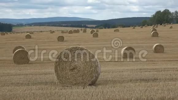 农业领域圆捆稻草捆在田野里视频的预览图