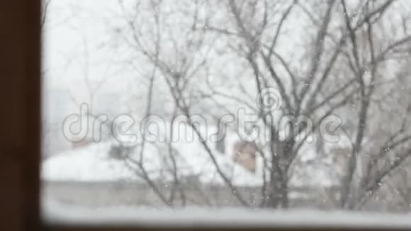 雪在冬天飞来飞去从窗户可以看到视频的预览图
