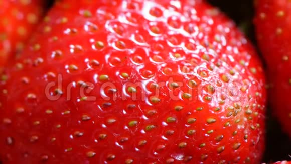 浆果花园草莓视频的预览图