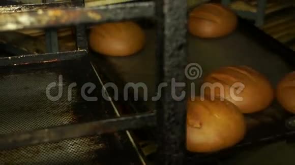 生产面包新鲜出炉的面包放在托盘上视频的预览图