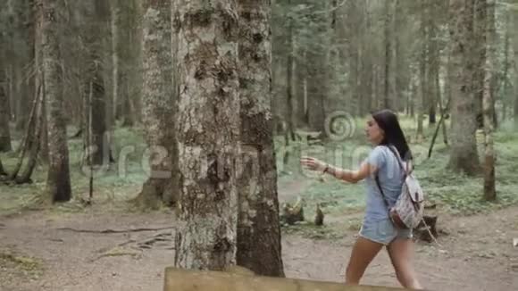 森林中快乐的女人的肖像女孩享受森林国家公园背包游客旅行生活方式视频的预览图