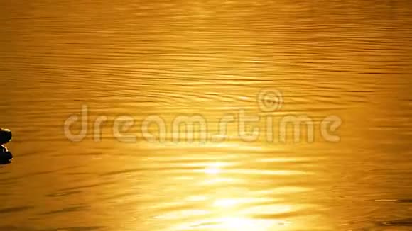 日落天空背景上的Sup板太阳的射线一个年轻人慢慢地漂浮在木板上视频的预览图