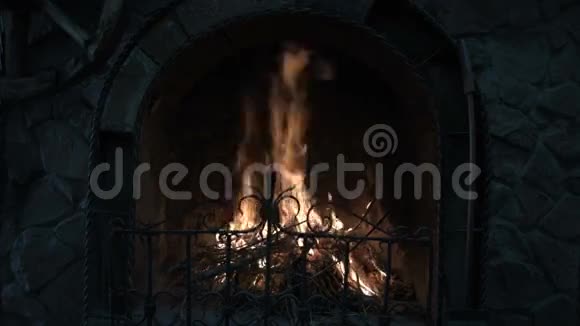 壁炉城堡视频的预览图