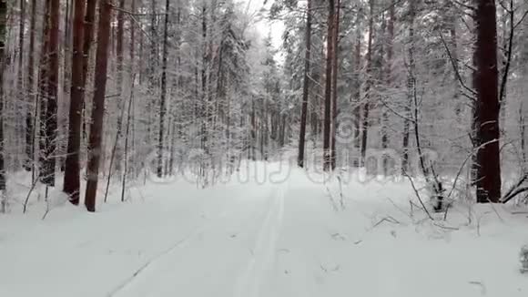 冬季森林降雪时照相机在白雪覆盖的树木之间移动空中观景视频的预览图