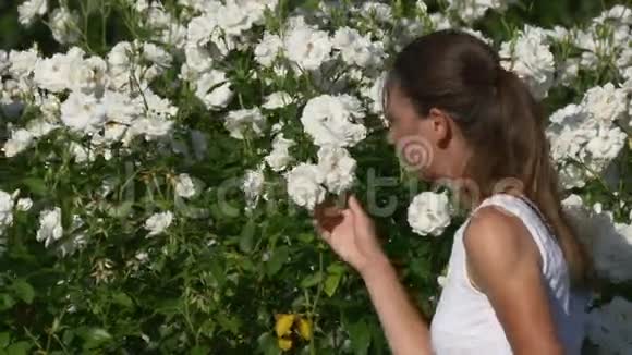 女人轻轻抚摸闻着白玫瑰视频的预览图