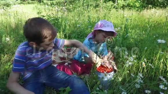 十几岁的男孩和女孩在草地上吃野生草莓视频的预览图