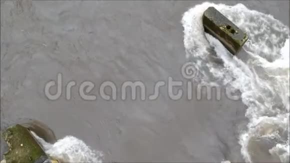 冬天在洪水泛滥的河流上飞翔视频的预览图