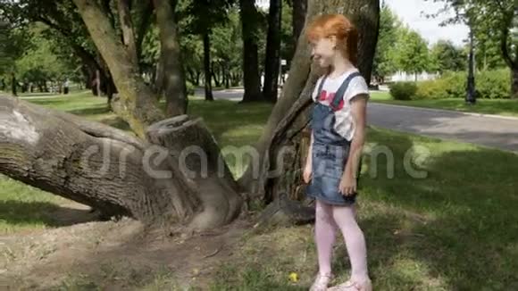 小女孩在爬树视频的预览图