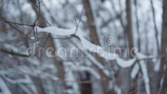 冬天平静的风景细节注意力转移视频的预览图