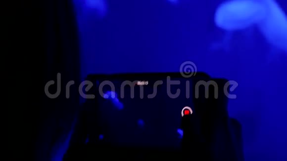 女人用水母在大型水族箱的智能手机上拍摄视频3840x2160视频的预览图