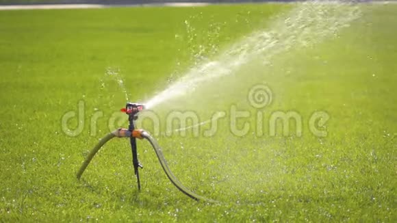 慢动作花园灌溉洒水草坪视频的预览图