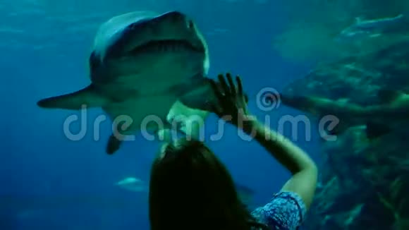 水族馆里的女人在看大鲨鱼3840x2160视频的预览图